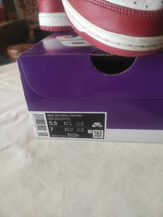 Nike SB Dunk Low Chicago.