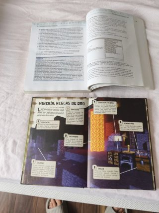 Pack 2 Libros Minecraft: Guía Básica y Definitiva
