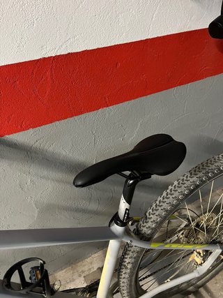 Bicicleta BH Gris
