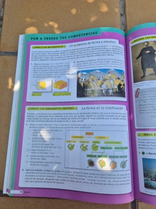 Educación plástica, visual y audiovisual 1 ESO