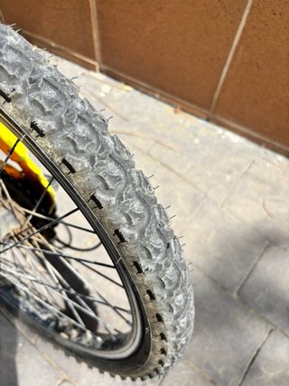 Bicicleta Monty 20 Infantil