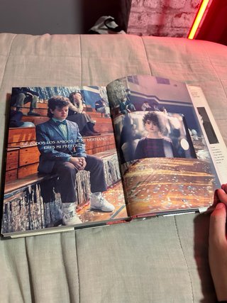 Guía oficial de Stranger Things Se acepta oferta