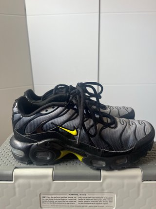 Zapatillas Nike Air Max Plus Grises y Negras