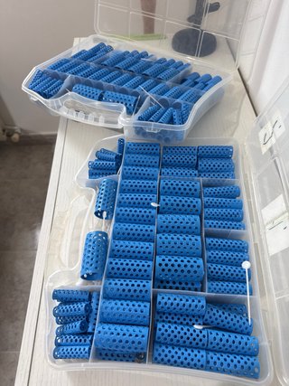Rulos de peluquería azules