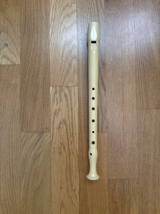 Flauta escolar con accesorios
