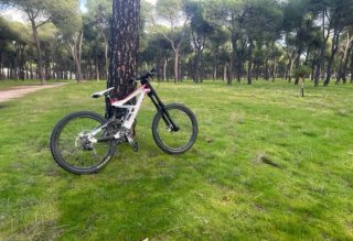 Bicicleta Scott Gambler Downhill