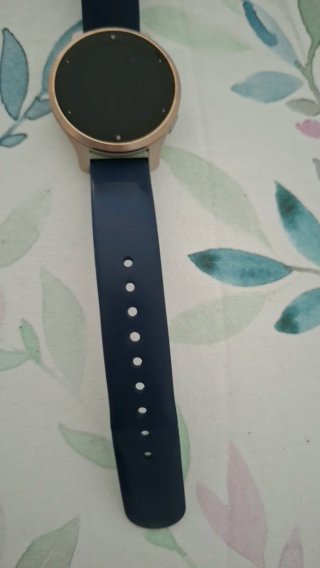 Garmin Venu 2s GPS Oro Rosa