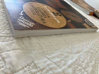 Lingua Galega e Literatura 2.