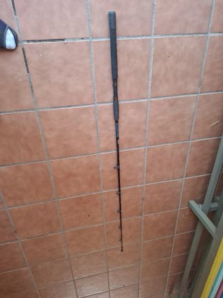 Caña de pescar Currican