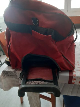 Bolsa de viaje con ruedas