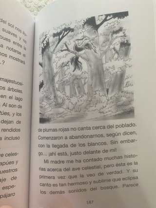 El tesoro de los indios