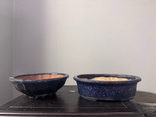 Lote 20 Macetas Bonsái Cerámica