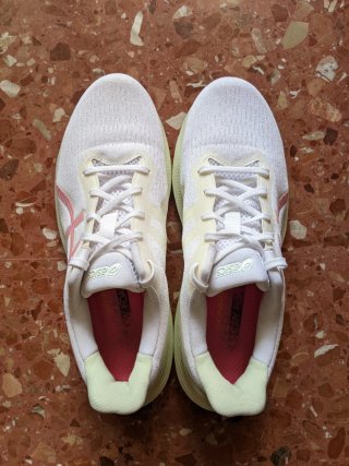 Zapatillas Asics Gel-Pulse 14 Mujer Talla 42