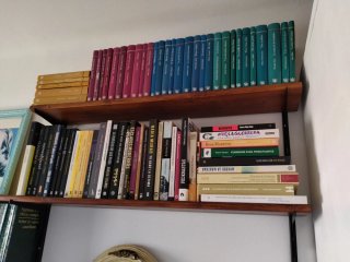 Libros feminismo, trata mujeres, violencia.