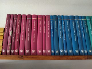Libros feminismo, trata mujeres, violencia.