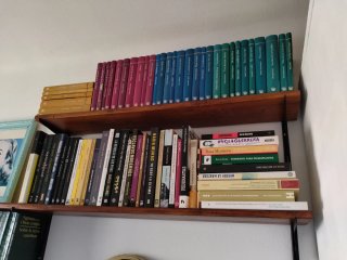 Libros feminismo, trata mujeres, violencia.