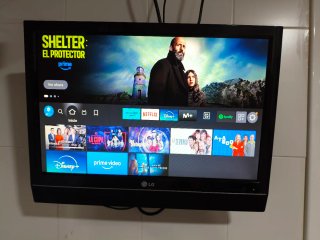 LG 19LS4D - 19"