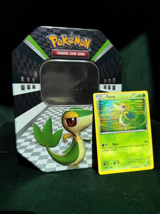Pokémon Tin + Holo Snivy