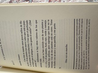 Camino de Ákaba cartas, enero-agosto 1917