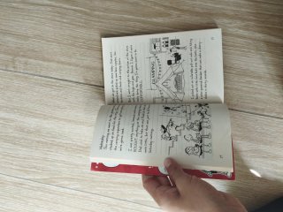 Diary of a Wimpy Kid The Deep End