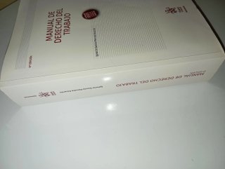 Manual de Derecho del Trabajo – García-Perrote – 9