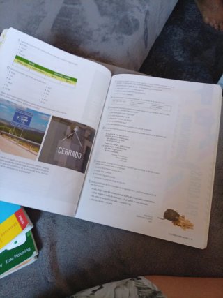 Lengua castellana y literatura 1 Secundaria