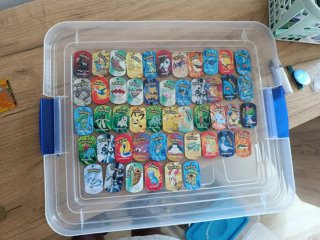 Pokémon Metal Tags Colección