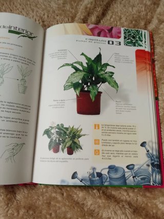 Gran Libro De La Jardineria De Interior