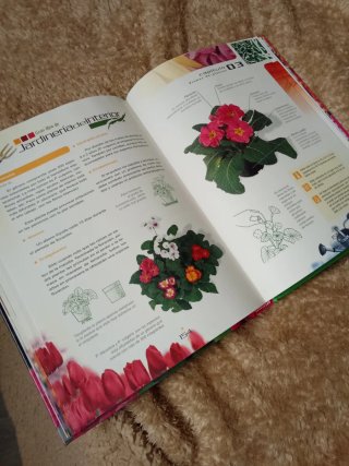 Gran Libro De La Jardineria De Interior