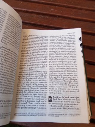 La Santa biblia