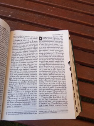 La Santa biblia