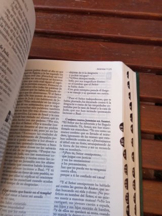 La Santa biblia