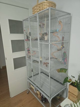 Jaula grande para pájaros