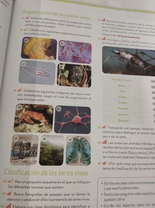 Biología y Geología 1ºESO - 9788448626464