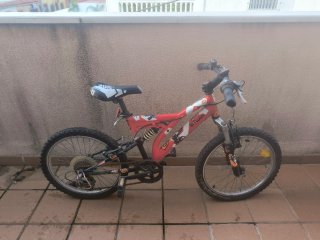 Bicicleta infantil 206
