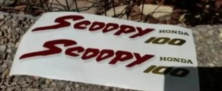 Pegatinas Honda Scoopy 100