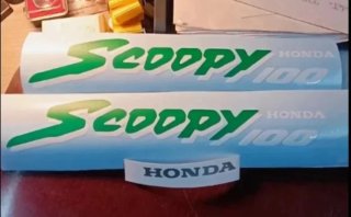 Pegatinas Honda Scoopy 100