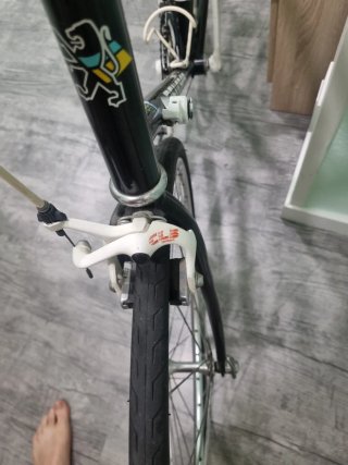 Bicicleta Peugeot Mont Blanc