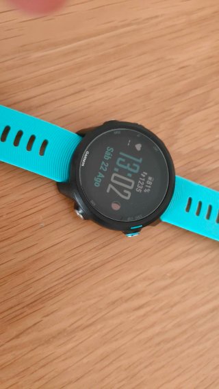 Garmin Forerunner 245 Music