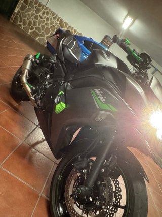 Kawasaki Ninja 650 Gris oscuro y Verde