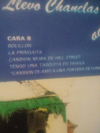 Vinilo no mepises que llebo chanclas