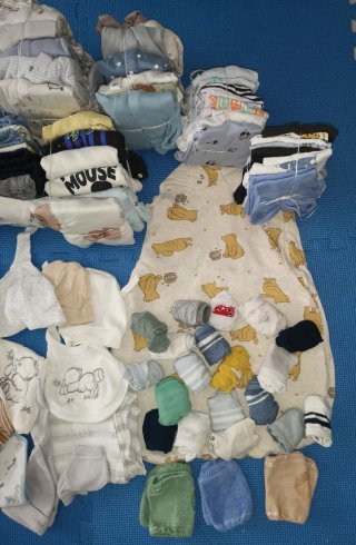 Lote Ropa Bebé: de 6 a 18 meses.