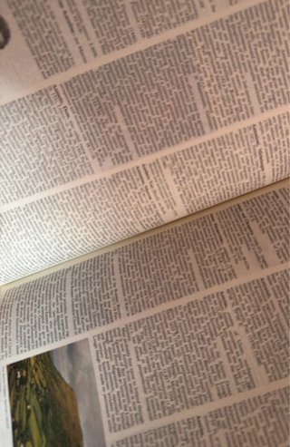 Enciclopedia británica LOTE
