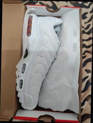 Nike Air Max Plus TN 36