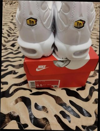 Nike Air Max Plus TN 36
