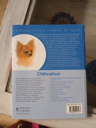Chihuahua