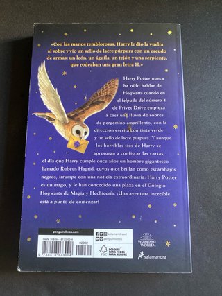 Harry Potter y la piedra filosofal (Harry Potte...