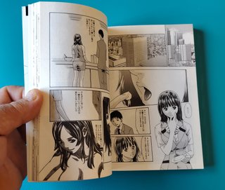 MANGA SUBIDO DE TONO - SECRETARIAL SECCION DROP