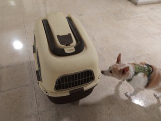 Transportín grande para mascotas