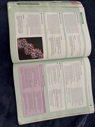 Filosofía 1o Bachillerato : Proyecto Saber Hacer
